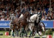 World Champion, Felix Brasseur in the obstacle driving - ©FEI