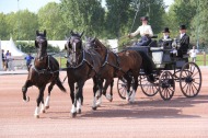 Georgina Hunt - Driving - ©Attelage Magazine - François Durand