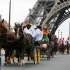 Norman at their Eiffel Towel - Parade Paris Horse-Fair - November 2013 - ©Comité d'Organisation Normandie 2014