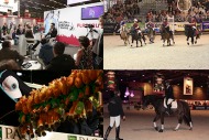 Paris Horse Fair 2013 - ©Comité d'Organisation Normandie 2014