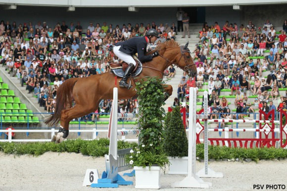 Patrice Delaveau: 