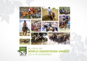 8 Disciplines (PC/Mac/Ipad2 1024x768px)