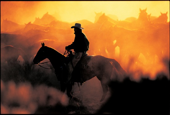 The Quarter Horse becomes the Games' 4th Horse of Honor 