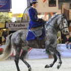 Side saddle quadrille