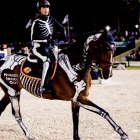 Horse Inside Out 