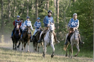 Endurance Demonstration