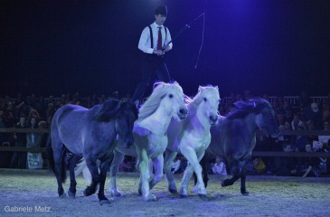 Pierre Fleury Highland Show