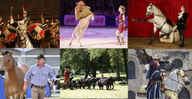 Entertainment schedule