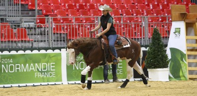 Excitement builds as Reiners prepare for the Alltech FEI World Equestrian Games 2014 in Normandy