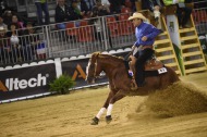 Reining - Monday 25 January - ©PSV Photos