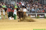 Reining - Paulo KOURY NETO - DONT WHIZ WRB - BRA - ©PSV Photos