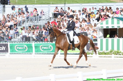 Eventing leader is a local horse!