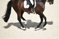 Dressage Grand Prix Freestyle - ©Sindy Thomas
