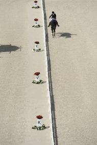 Dressage Grand Prix Freestyle - ©Sindy Thomas