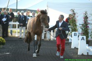 Jumping - Vet inspection - August 31st - ©PSV Photos