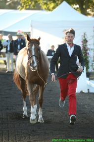 Jumping - Vet inspection - August 31st - ©PSV Photos