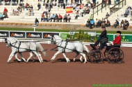 722 - Dick Lane - GBR- Driving - Dressage 04/09 - ©CO Normandie 2014/PSV