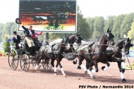 701 - Boyd Exell - AUS Driving - ©CO Normandie 2014/PSV