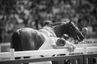 Final 4 - Jumping - ©CO Normandie 2014/Sindy Thomas