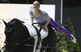 Vaulting